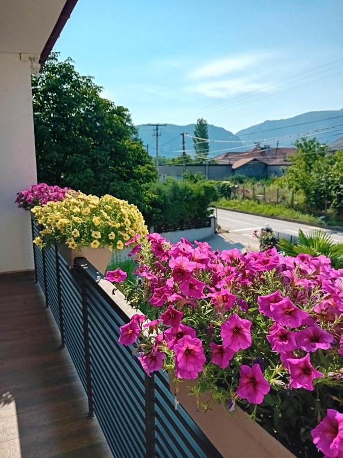 Belov Rooms And Apartments Demir Kapija Exterior photo